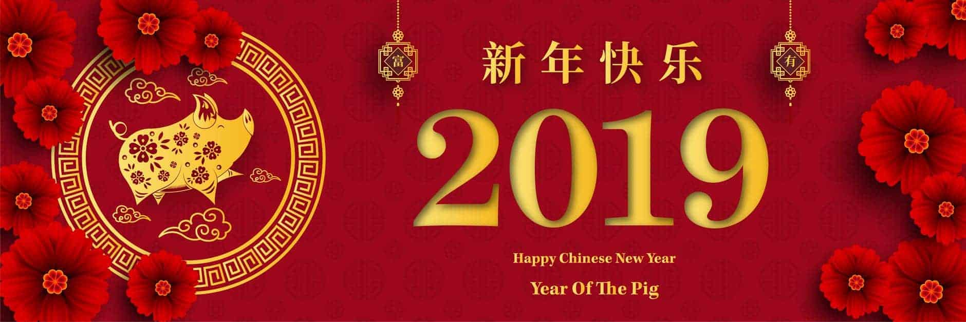 Chinese New Year 2019 - China’s Big Festival